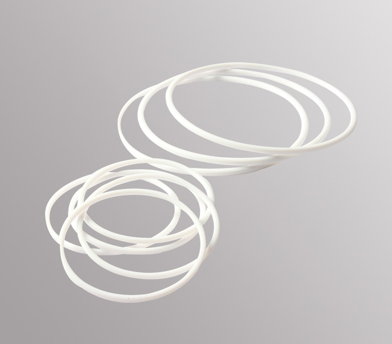 Pure PTFE O Ring SG-T4300