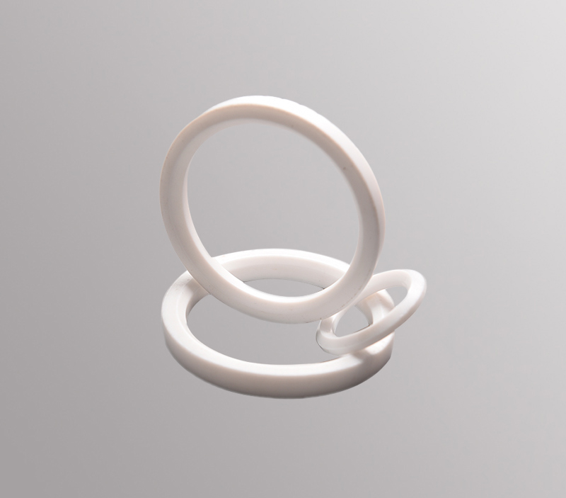 PTFE Seat Ring SG-T4302