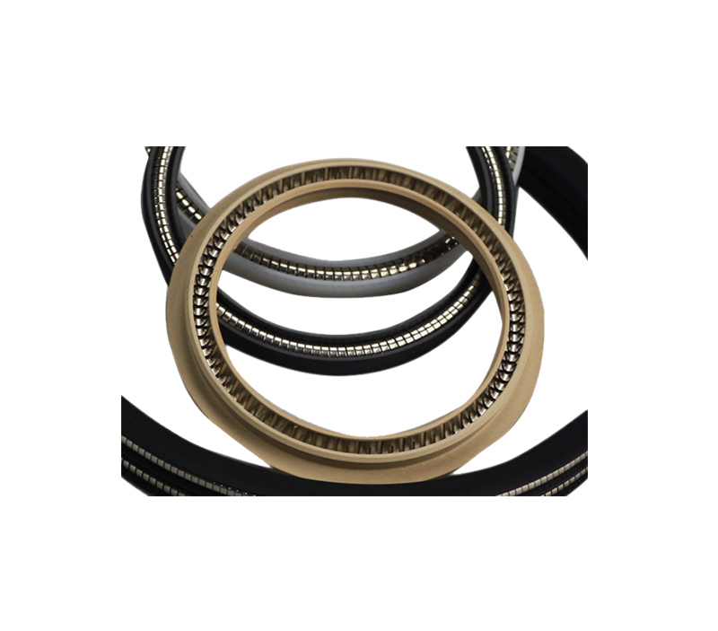 Spring Energized Seal SG-H5300